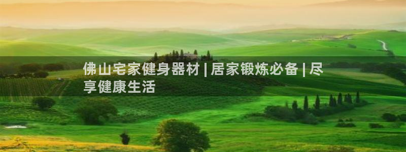 意昂体育3平台：佛山宅家健身器材 | 居家锻炼必备 