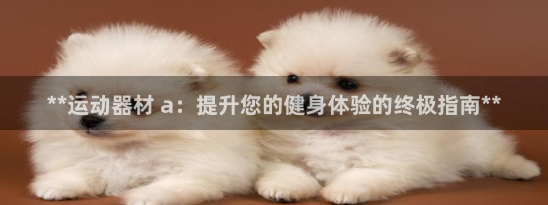 海南意昂体育3:**运动器材 a:提升您的健身体验的终极指南